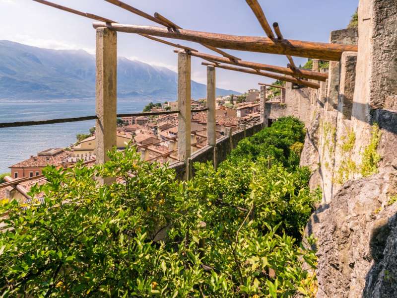 Limonaia met uitzicht op het meer in Limone del Garda