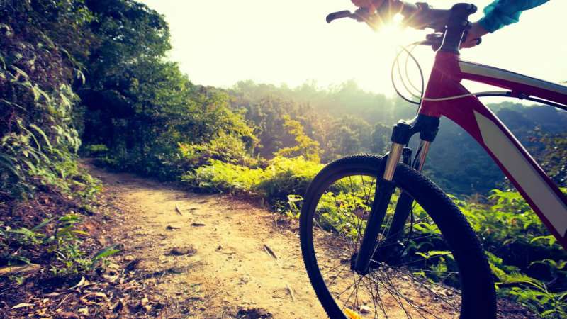 Camping Gardasøoen med cykel leje og rundrejse (mountain bike)