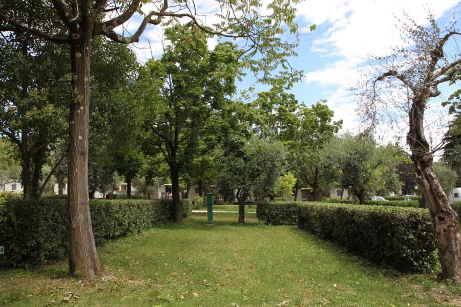 Camping Lac de Garde avec des emplacements standard et 6 ampères d'électricité 4