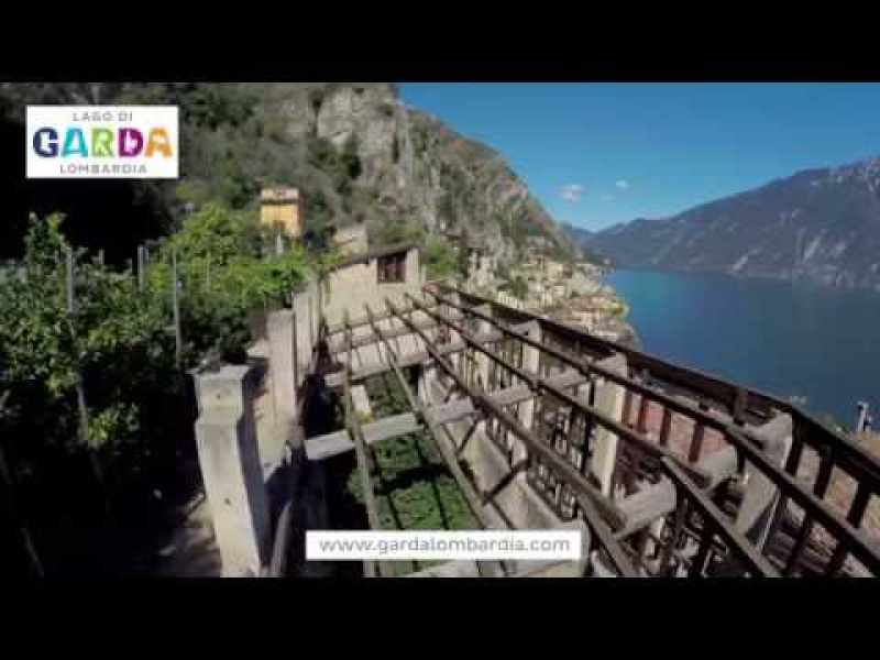 Cosa fare in vacanza in Campeggio Lago di Garda – consigli 3