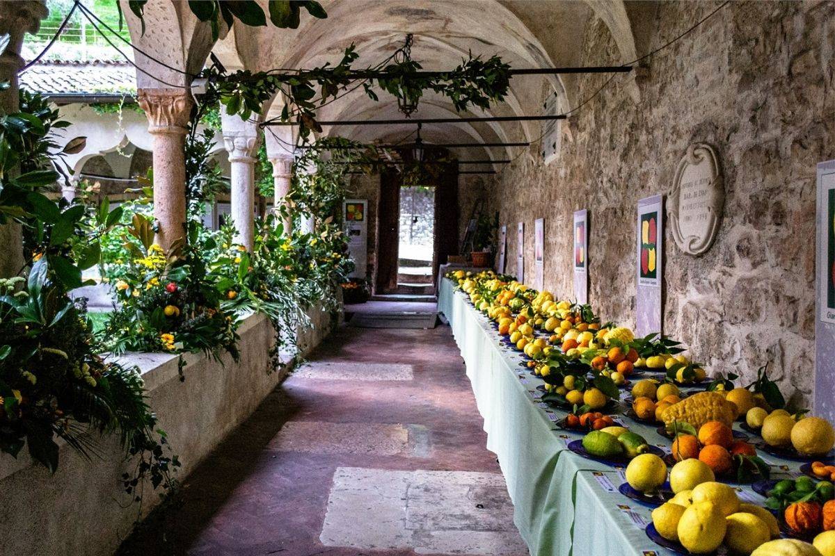 Limone del Garda limoncello lake garda